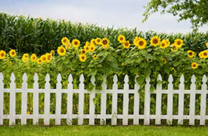 Picket Fence Rhyl (LL18)